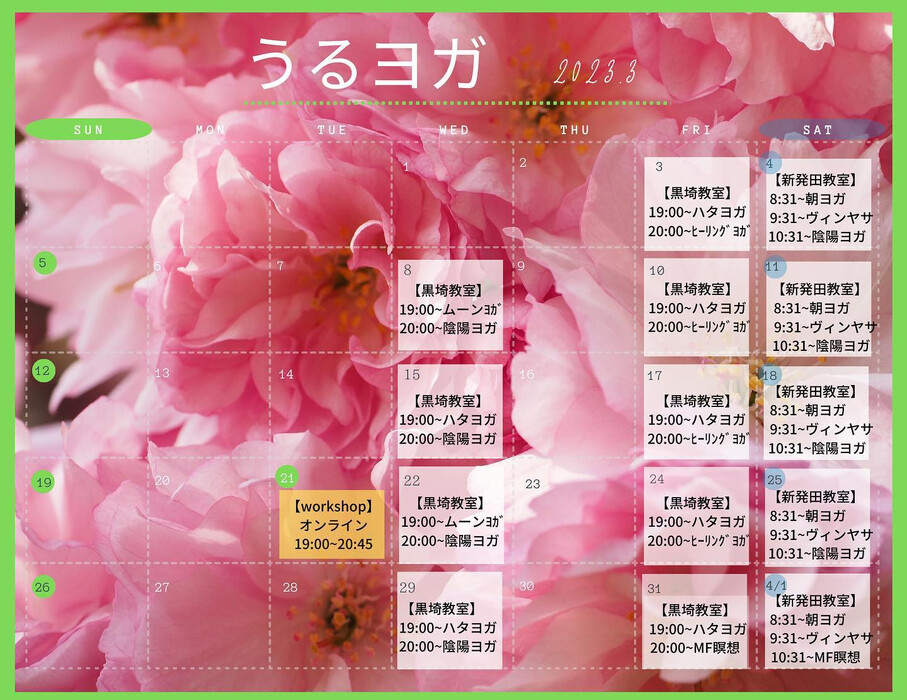 画像306