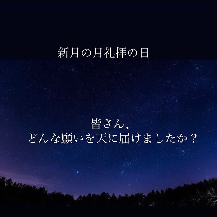 画像308